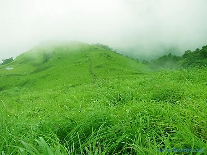Paithal Resort Kannur 3*,