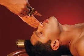 Paithal Resort Kannur India