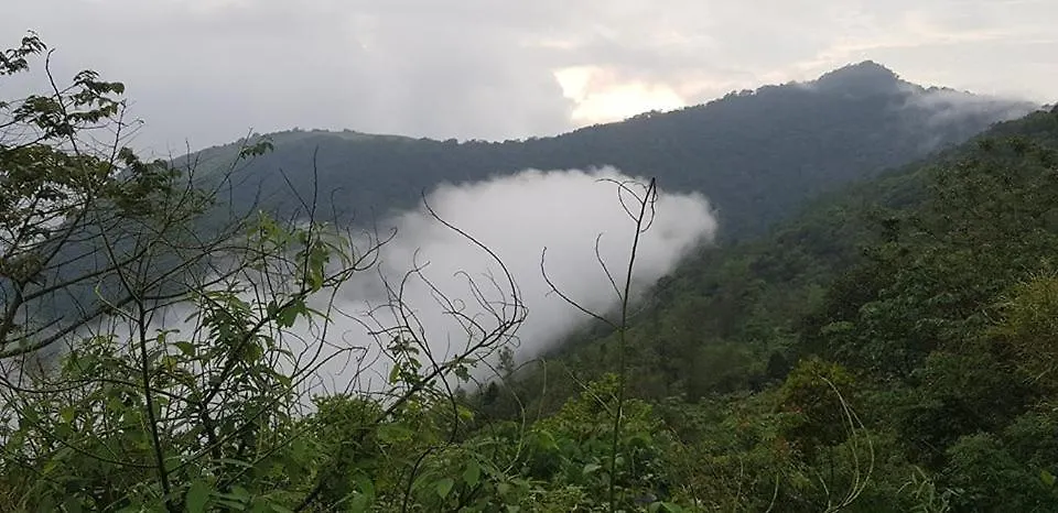 Paithal Resort Kannur